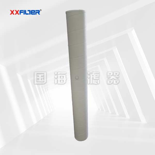 PECOFGGF系列 燃?xì)膺^濾器濾芯